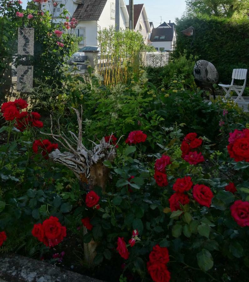 Gîte du héron La Wantzenau Exterior foto