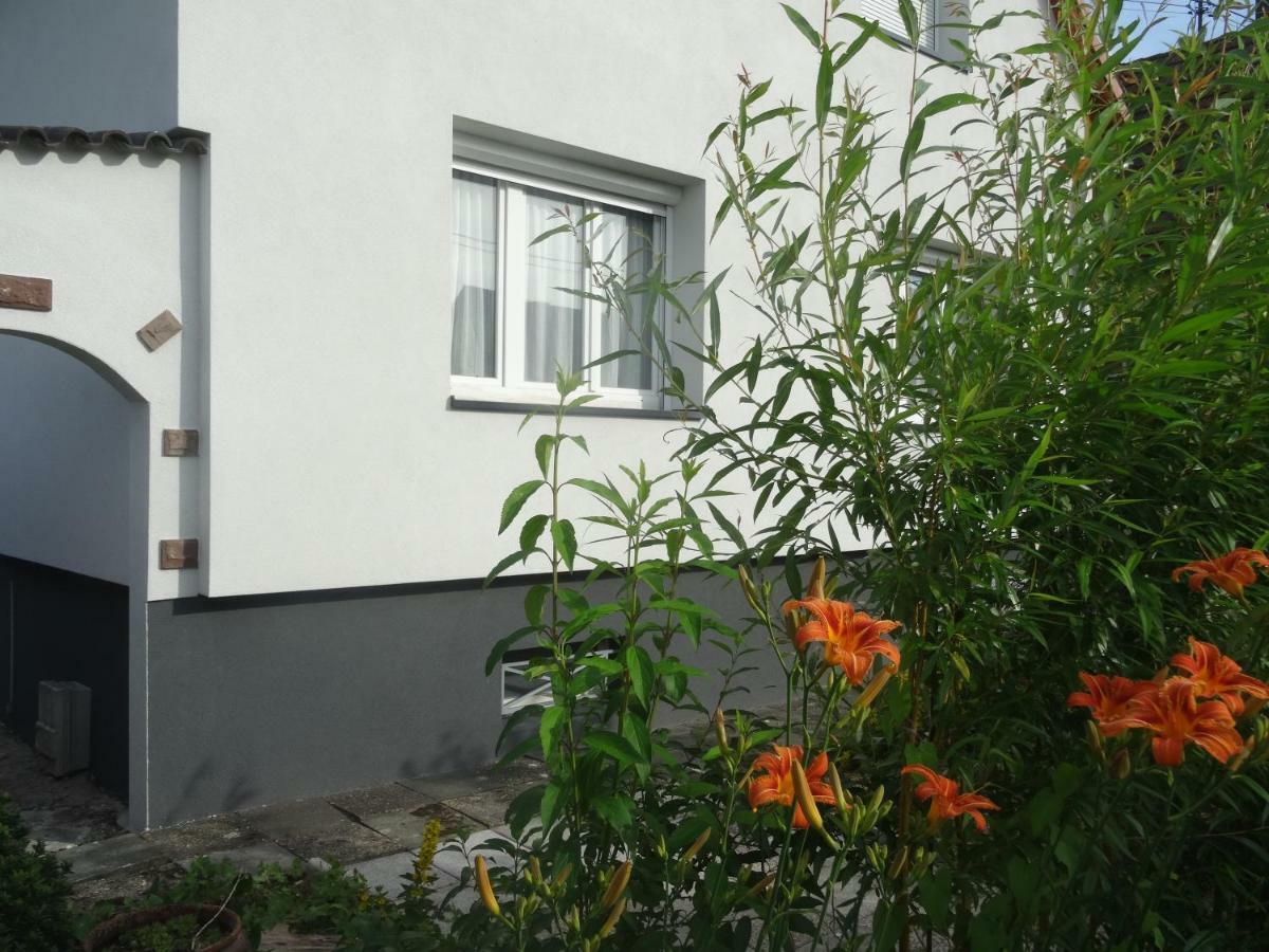 Gîte du héron La Wantzenau Exterior foto
